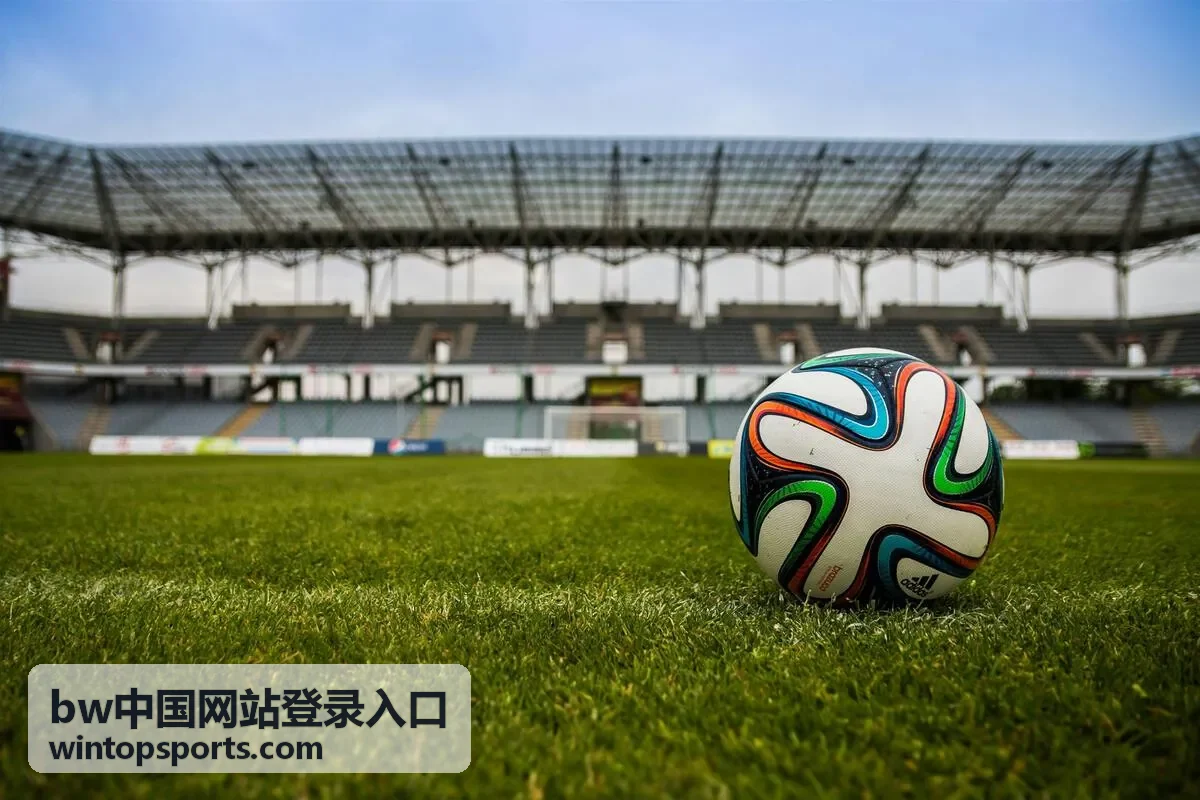 bw中国网站登录入口安全登录提示与核验指南
