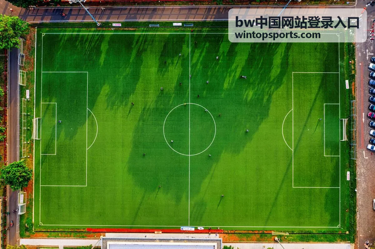bw中国安全登录验证建议